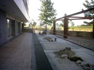Obra Lumiar
